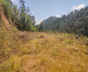 54 cents commerical land for sale  in senbaganur kodaikanal