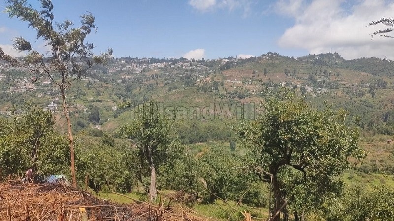 ₹1.50 Cr&nbsp;|&nbsp;50 cents agriculture land for sale  in senbaganur kodaikanal