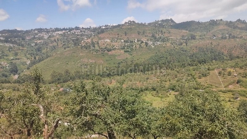 ₹1.50 Cr&nbsp;|&nbsp;50 cents agriculture land for sale  in senbaganur kodaikanal