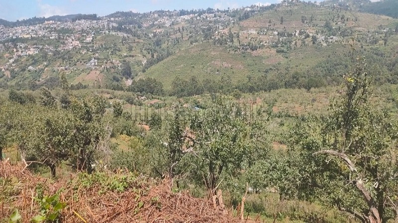 ₹1.50 Cr&nbsp;|&nbsp;50 cents agriculture land for sale  in senbaganur kodaikanal