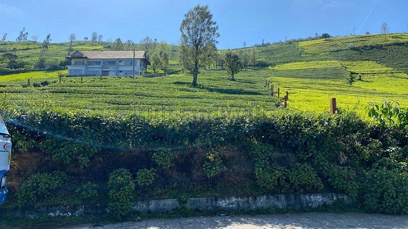 ₹3.50 Cr&nbsp;|&nbsp;100 cents tea estate for sale  in kallakorai ooty