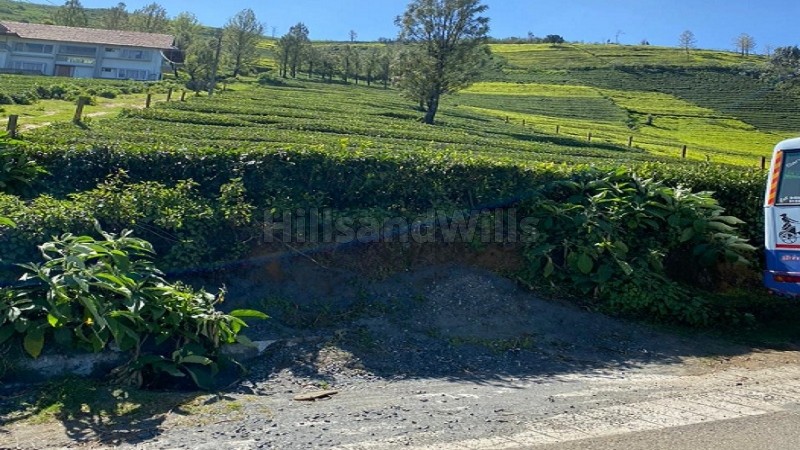 ₹3.50 Cr&nbsp;|&nbsp;100 cents tea estate for sale  in kallakorai ooty
