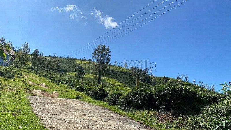 ₹3.50 Cr&nbsp;|&nbsp;100 cents tea estate for sale  in kallakorai ooty