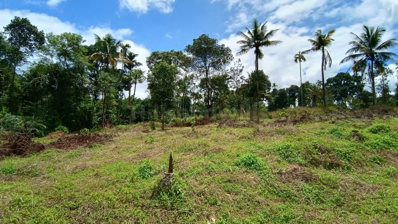 ₹1.80 Cr&nbsp;|&nbsp;80 cents commerical land for sale  in kalpetta wayanad