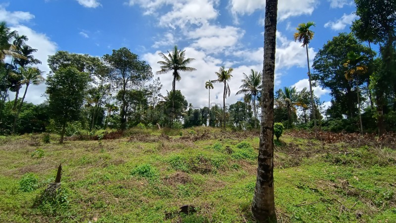 ₹1.80 Cr&nbsp;|&nbsp;80 cents commerical land for sale  in kalpetta wayanad
