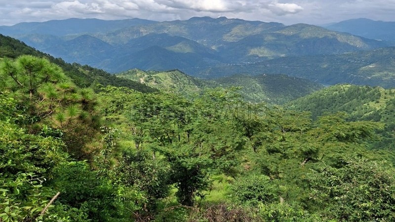 ₹97.50 Lac | 6.5 nali residential plot for sale in tehri garhwal near mussoorie