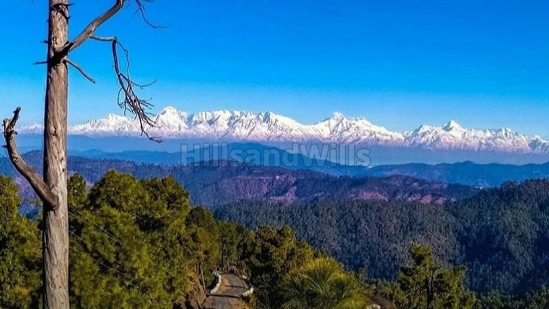 ₹24 Lac - 48 Lac&nbsp;|&nbsp;300 sq.yards - 600 sq.yards  himalayan view plots for sale  in almora near nainital