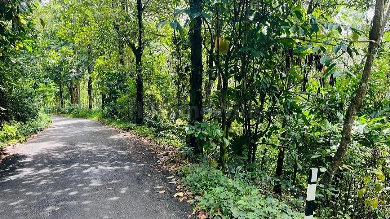 ₹52 Lac&nbsp;|&nbsp;40 cents commerical land for sale  in anachal munnar