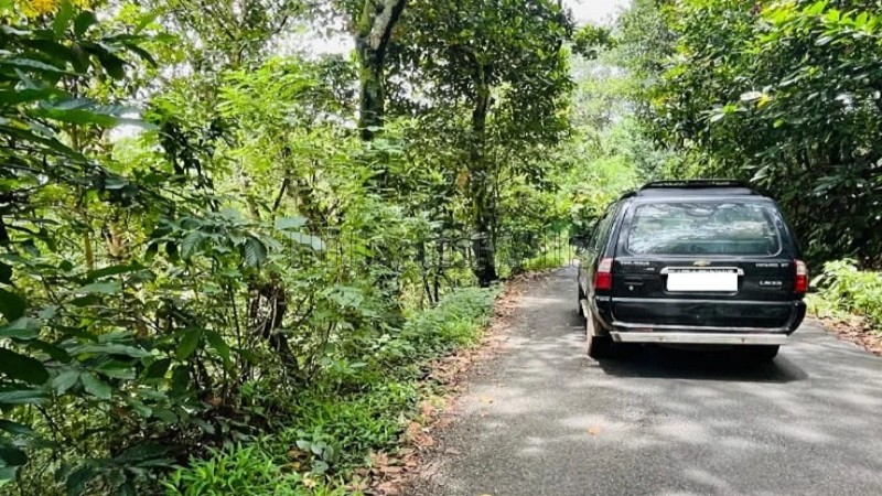 ₹52 Lac&nbsp;|&nbsp;40 cents commerical land for sale  in anachal munnar