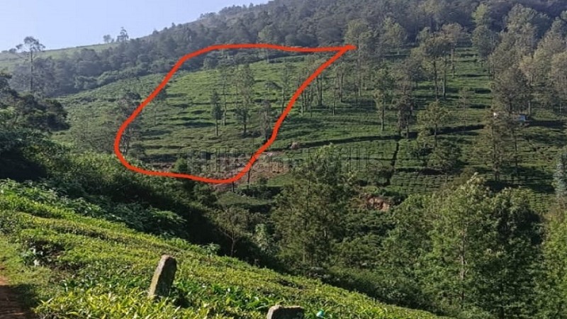 ₹1.60 Cr&nbsp;|&nbsp;1 acres tea estate for sale  in kettikambai kotagiri