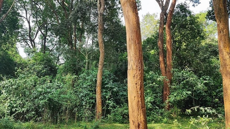 ₹22.80 Cr&nbsp;|&nbsp;190 acres agriculture land for sale  in pachalur kodaikanal