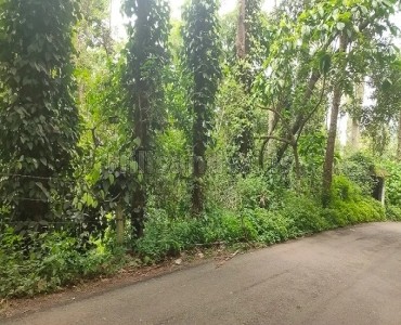 165 acres coffee estate for sale  in pachalur kodaikanal