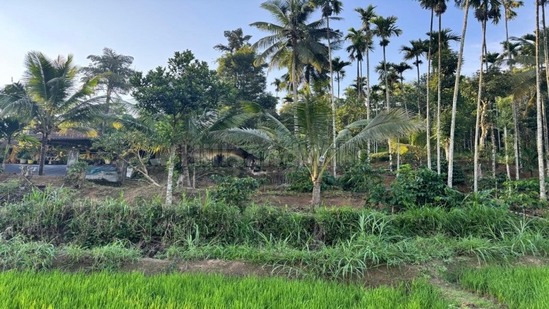 ₹87.50 Lac&nbsp;|&nbsp;5bhk independent house for sale  in mananthavady wayanad