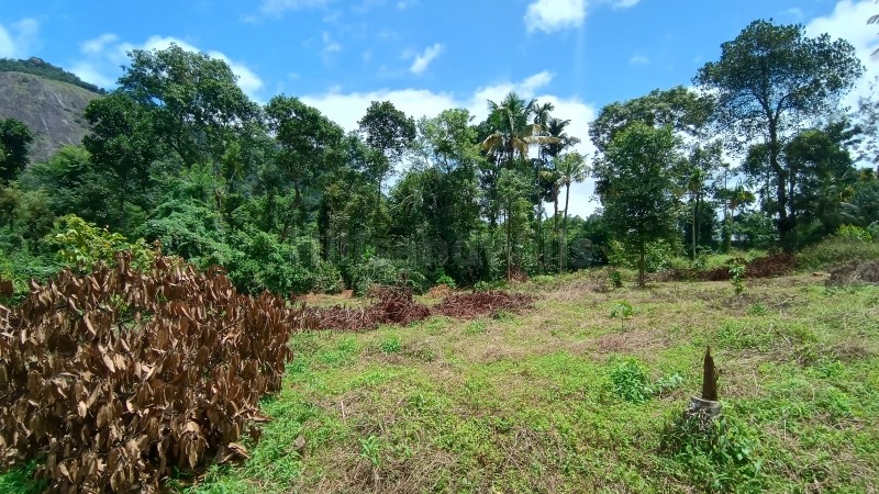 ₹1.80 Cr | 80 cents residential plot for sale in kalpetta wayanad