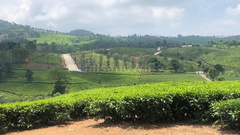 ₹52.50 Lac - 1 Cr | 21 cents - 40 cents residential plot for sale in aravenu kotagiri