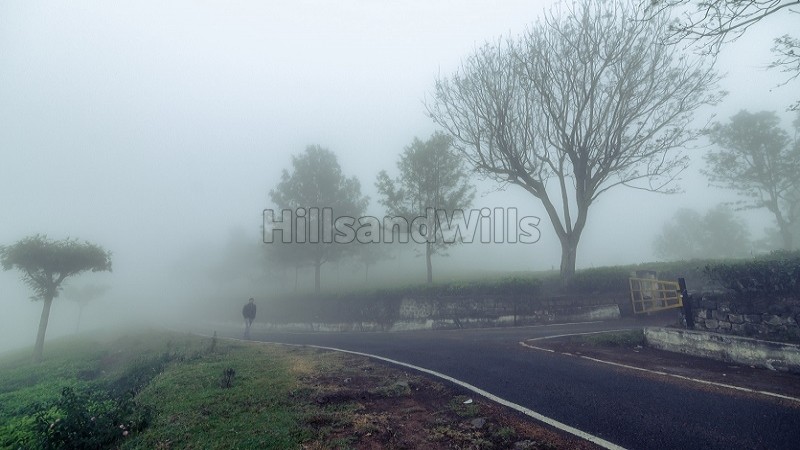 ₹52.50 Lac - 1 Cr | 21 cents - 40 cents residential plot for sale in aravenu kotagiri