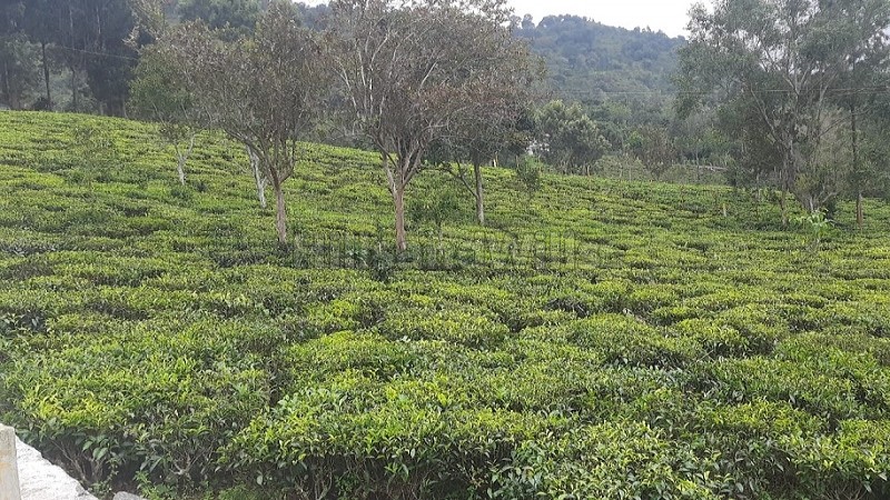 ₹52.50 Lac - 1 Cr | 21 cents - 40 cents residential plot for sale in aravenu kotagiri