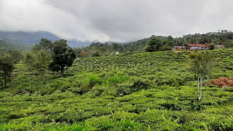 ₹52.50 Lac - 1 Cr | 21 cents - 40 cents residential plot for sale in aravenu kotagiri