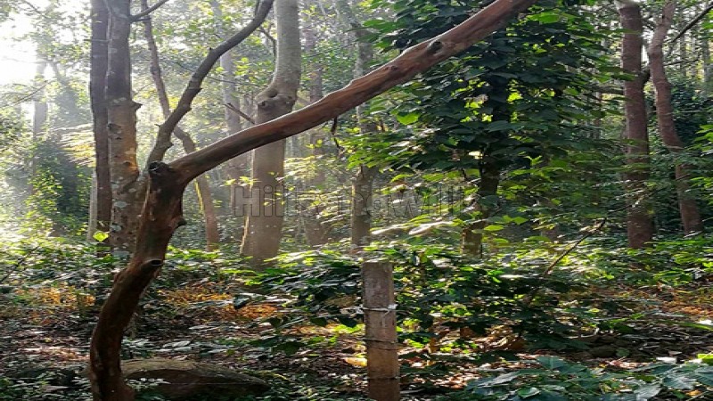 ₹2 Cr | 99 cents agriculture land for sale in semmanatham yercaud