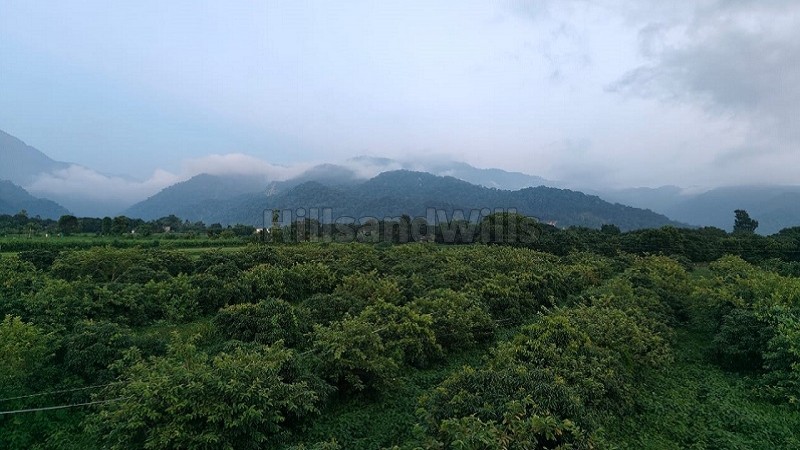 ₹25 Lac - 50 Lac&nbsp;|&nbsp;2700 sq.ft. - 5400 sq.ft. residential plot for sale  in kotabagh nainital