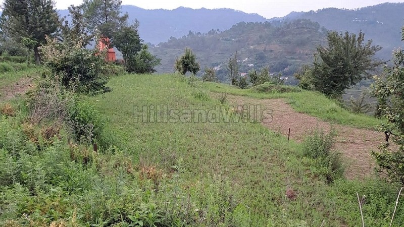 ₹28 Lac | 4500 sq.ft. residential plot for sale in khunt, almora near nainital