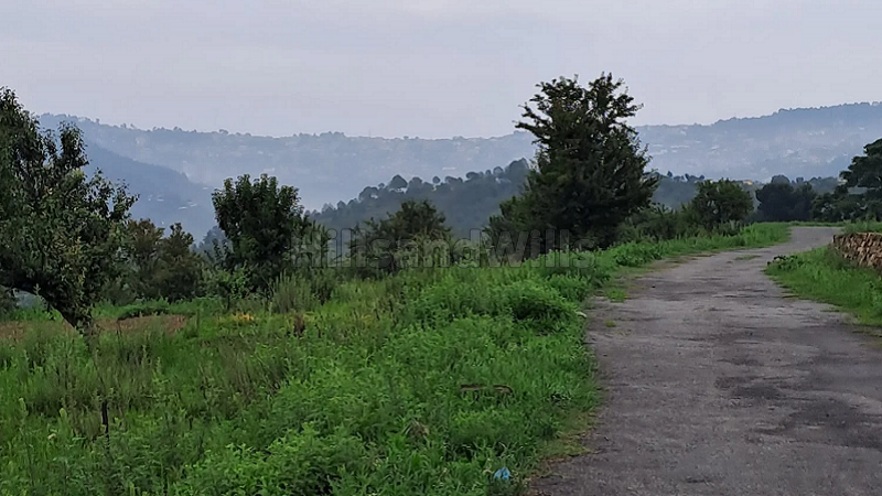 ₹28 Lac | 4500 sq.ft. residential plot for sale in khunt, almora near nainital