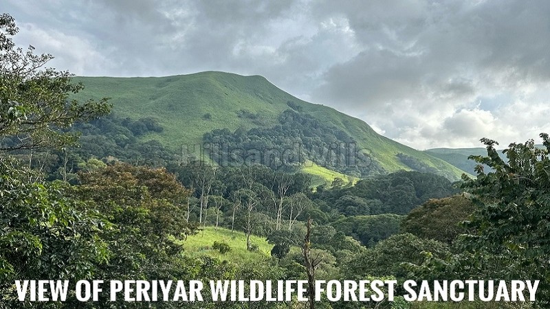 ₹11 Cr&nbsp;|&nbsp;5.5 acres cardamom estate for sale  in sathram, vandiperiyar idukki