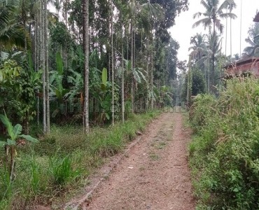 20 cents residential plot for sale  in pulpally wayanad