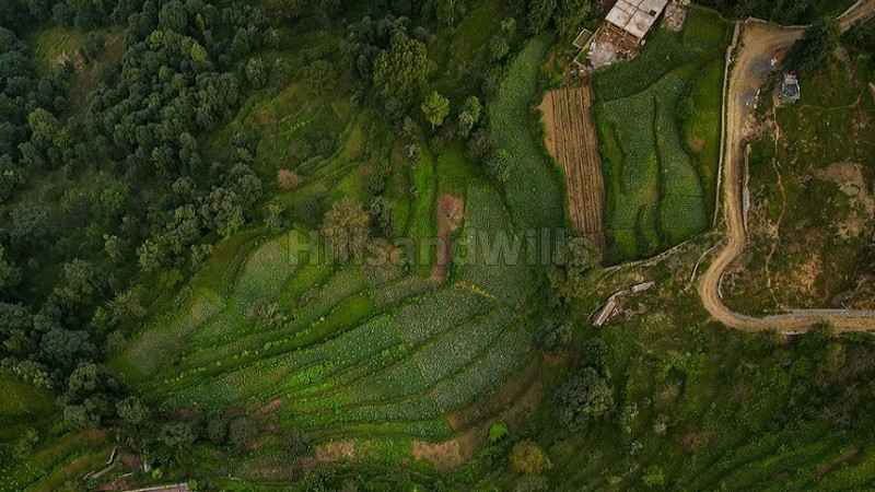 ₹95.95 Lac&nbsp;|&nbsp;101 nali  himalayan view land for sale  in mukteshwar nainital