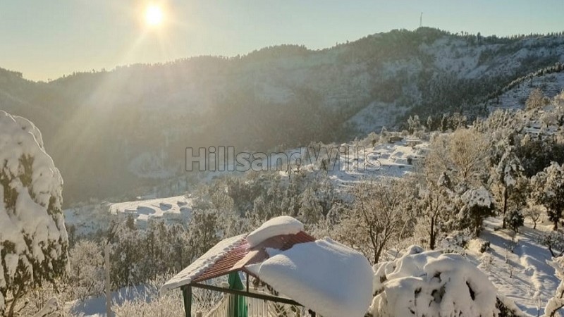 ₹95.95 Lac&nbsp;|&nbsp;101 nali  himalayan view land for sale  in mukteshwar nainital