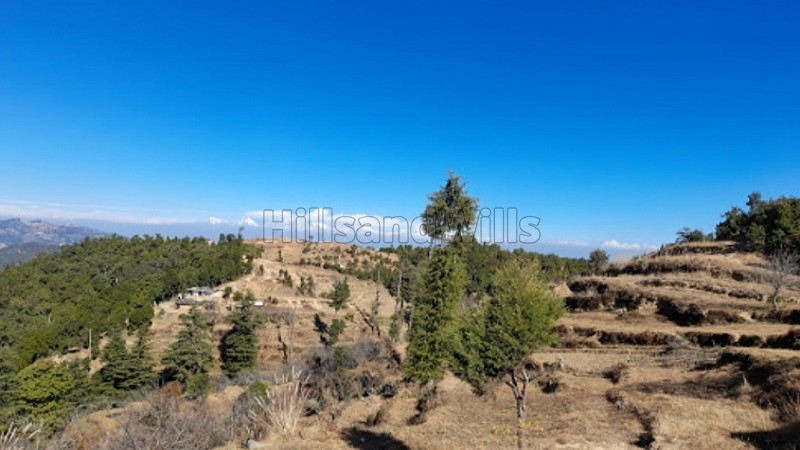 ₹95.95 Lac&nbsp;|&nbsp;101 nali  himalayan view land for sale  in mukteshwar nainital