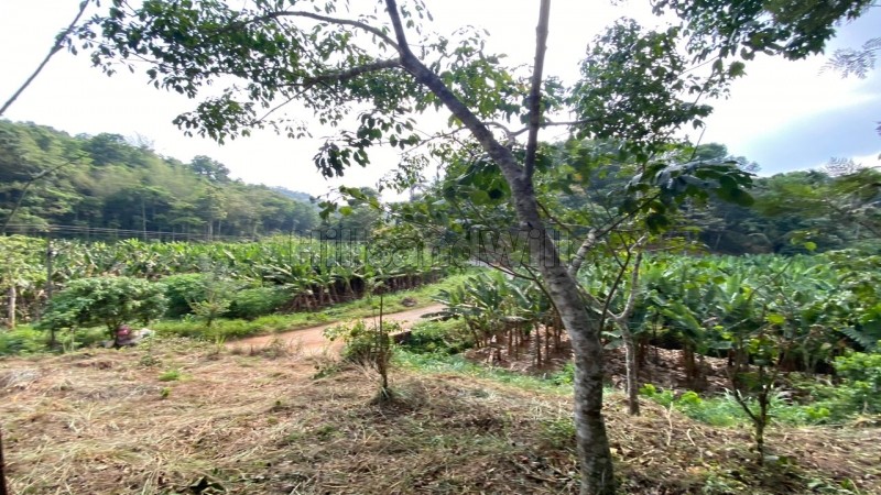 ₹28.70 Lac&nbsp;|&nbsp;82 cents residential plot for sale  in mananthavady wayanad
