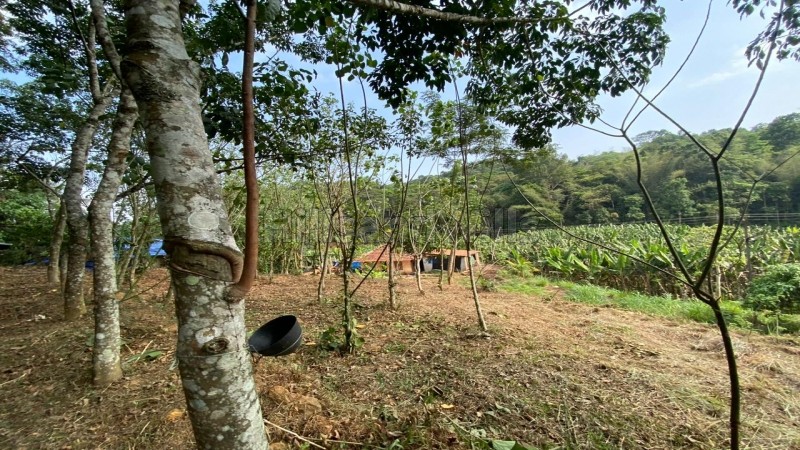 ₹28.70 Lac&nbsp;|&nbsp;82 cents residential plot for sale  in mananthavady wayanad