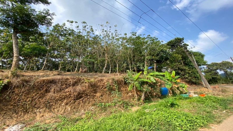 ₹28.70 Lac&nbsp;|&nbsp;82 cents residential plot for sale  in mananthavady wayanad