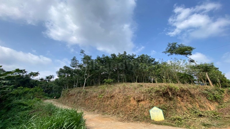 ₹28.70 Lac&nbsp;|&nbsp;82 cents residential plot for sale  in mananthavady wayanad