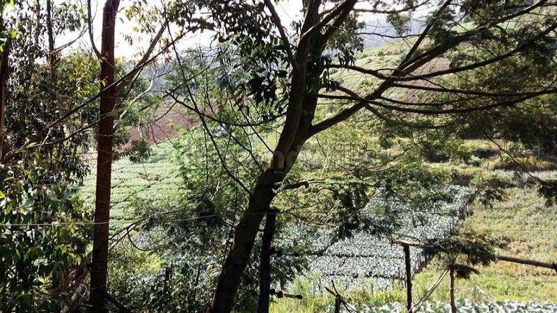 ₹2.75 Cr&nbsp;|&nbsp;231 cents commerical land for sale  in vattavada idukki