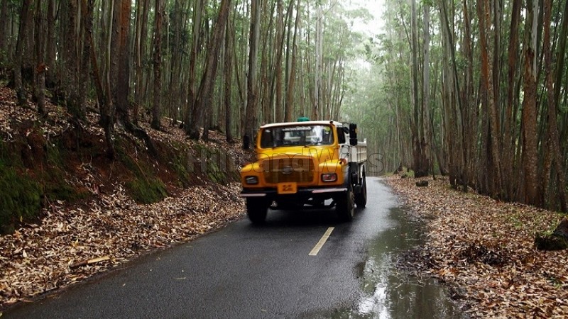 ₹2.75 Cr&nbsp;|&nbsp;231 cents commerical land for sale  in vattavada idukki