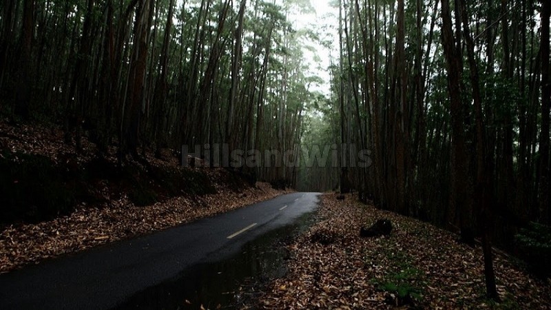 ₹2.75 Cr&nbsp;|&nbsp;231 cents commerical land for sale  in vattavada idukki