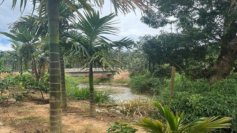 ₹55 Lac | 1 acres agriculture land for sale in pattavayal gudalur