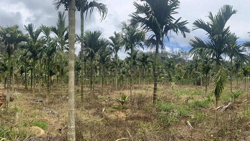 ₹55 Lac | 1 acres agriculture land for sale in pattavayal gudalur