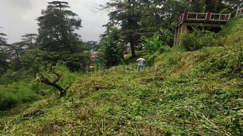 ₹30 Cr&nbsp;|&nbsp;9 bigha  plot with old house for sale  in shimla