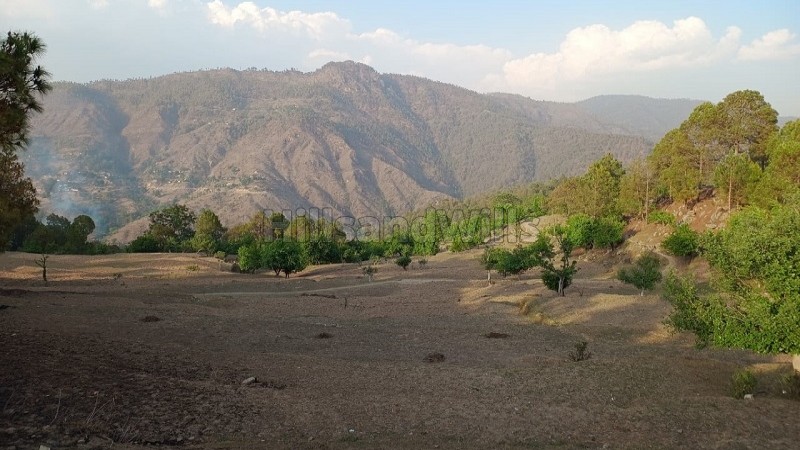 ₹40.40 Lac&nbsp;|&nbsp;10908 sq.ft. agriculture land for sale  in mauna nainital