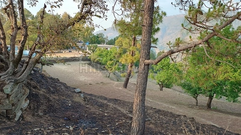 ₹40.40 Lac&nbsp;|&nbsp;10908 sq.ft. agriculture land for sale  in mauna nainital