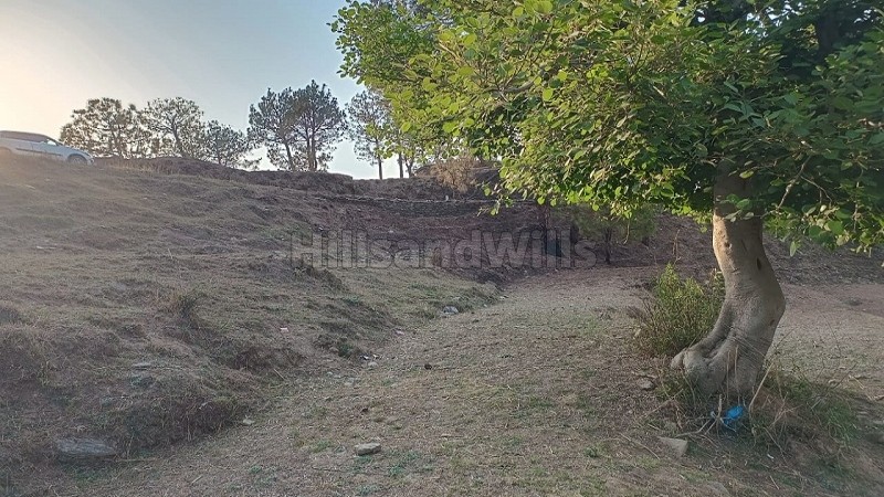 ₹40.40 Lac&nbsp;|&nbsp;10908 sq.ft. agriculture land for sale  in mauna nainital