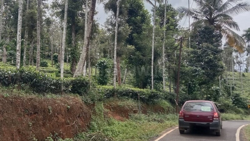 ₹20 Lac&nbsp;|&nbsp;1 acres tea estate for sale  in muthirakolly, bitherkad gudalur