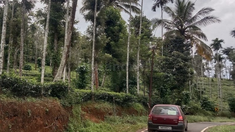 ₹20 Lac&nbsp;|&nbsp;1 acres tea estate for sale  in muthirakolly, bitherkad gudalur