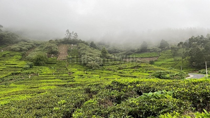 ₹96 Lac&nbsp;|&nbsp;30 cents agriculture land for sale  in t mynalai ooty