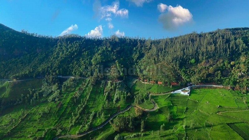 ₹96 Lac&nbsp;|&nbsp;30 cents agriculture land for sale  in t mynalai ooty