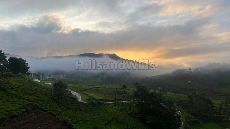 ₹96 Lac&nbsp;|&nbsp;30 cents agriculture land for sale  in t mynalai ooty