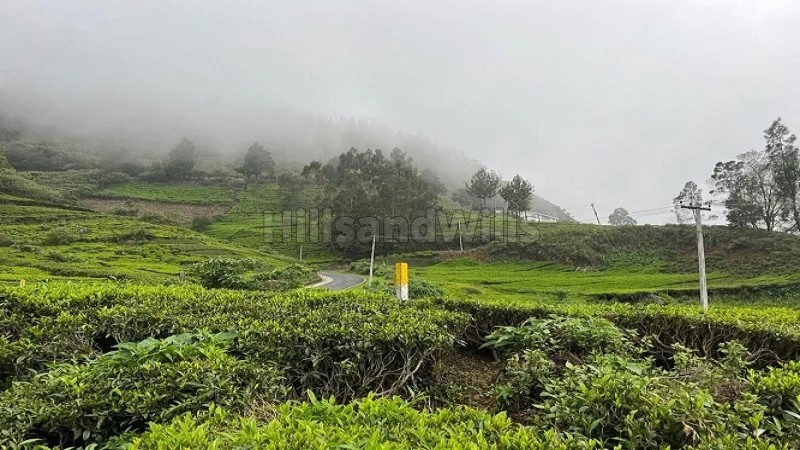 ₹96 Lac&nbsp;|&nbsp;30 cents agriculture land for sale  in t mynalai ooty